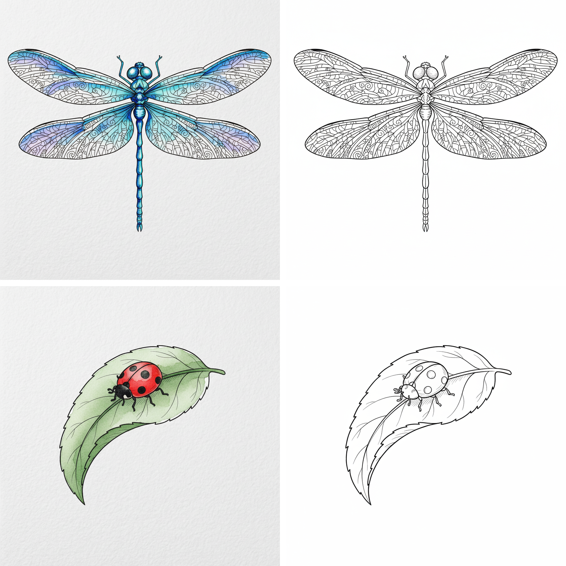 Cahier aquarelle Papillons - dessins