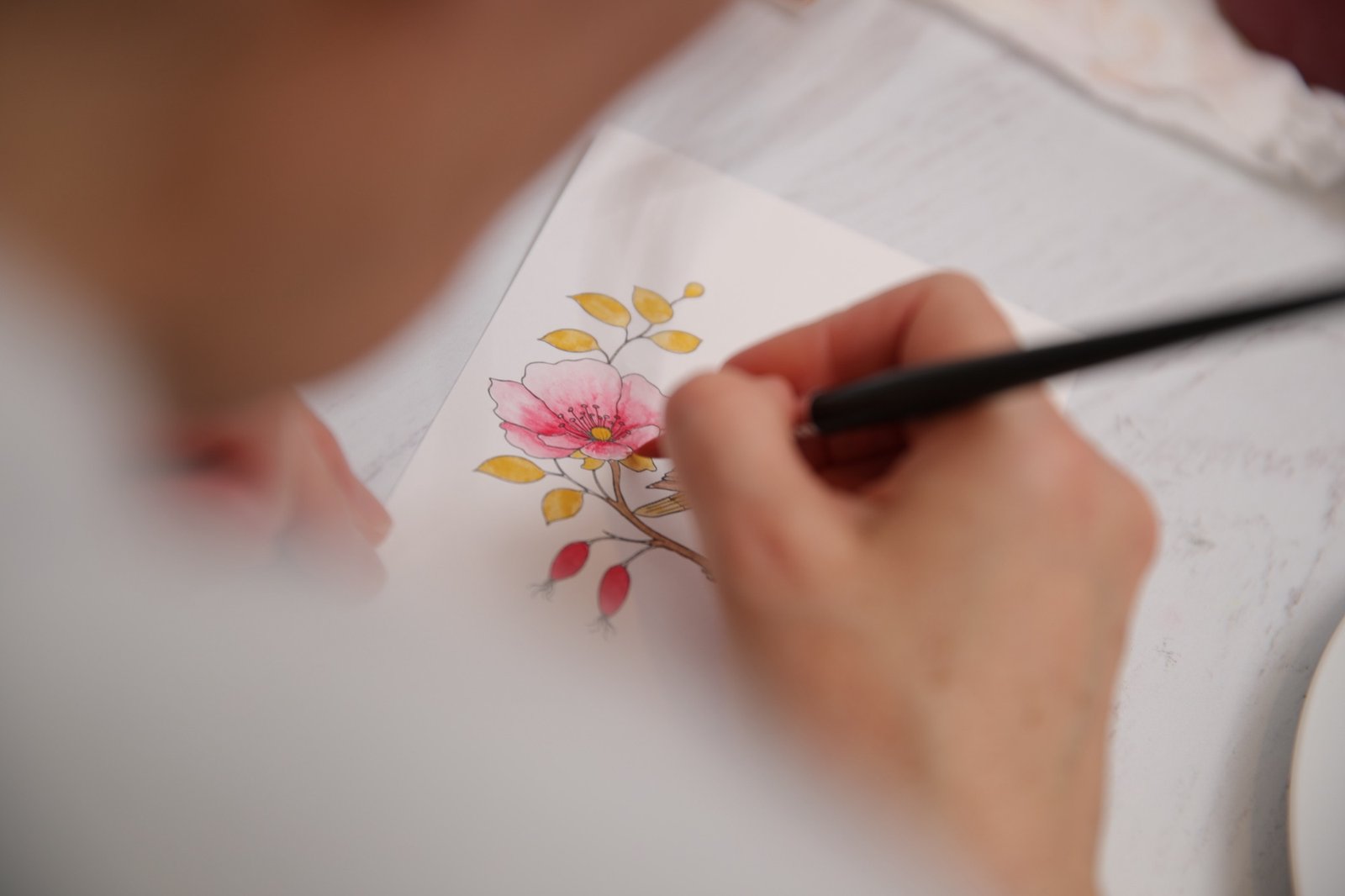 Cours en ligne — Les bases de l'aquarelle